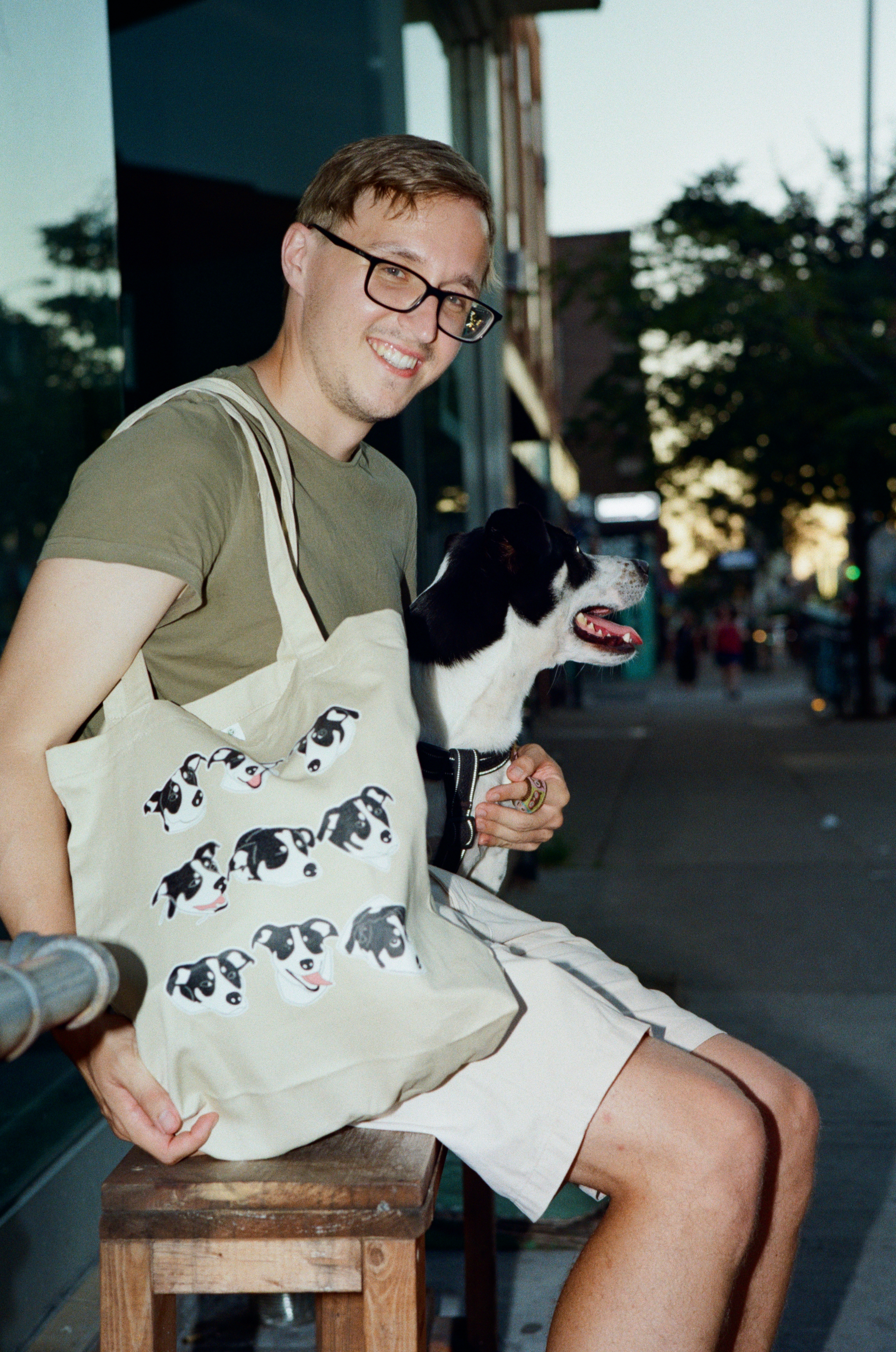 Louie Collage Eco Tote Bag