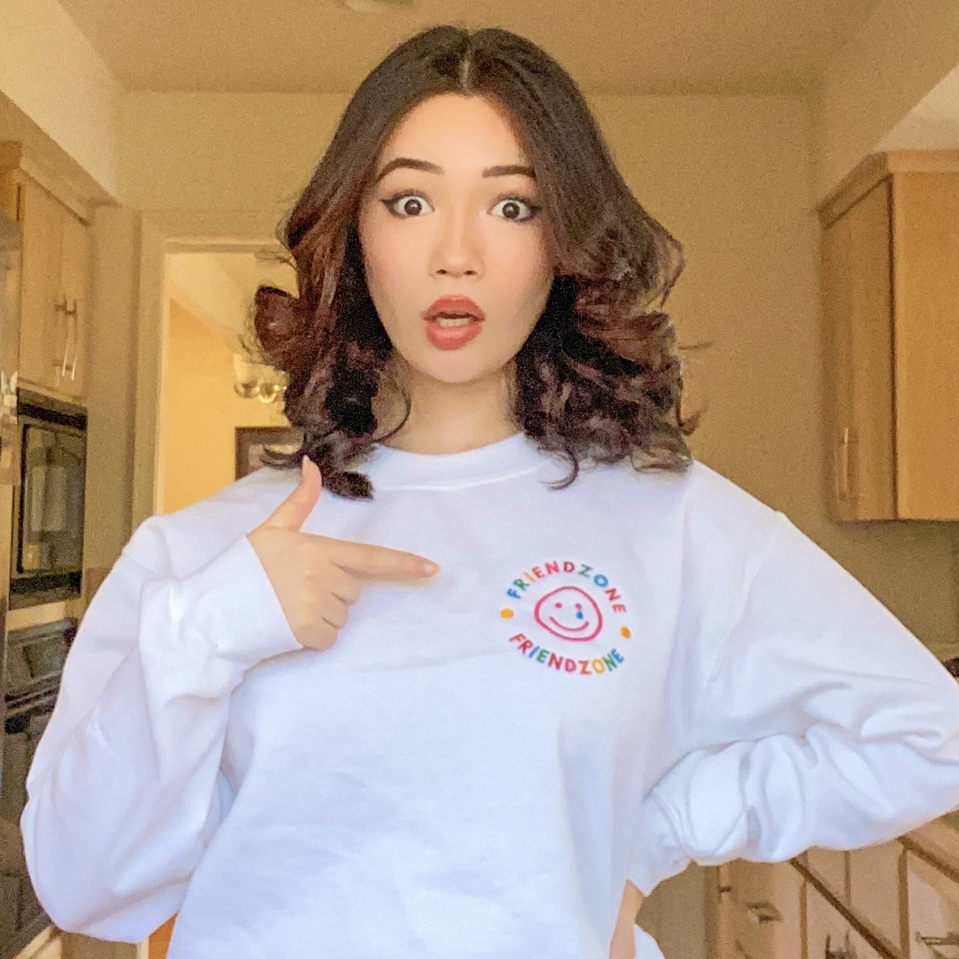 Amandumb Friendzone Unisex Sweatshirt (Embroidered)